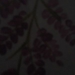 Meet your Posher, Mo